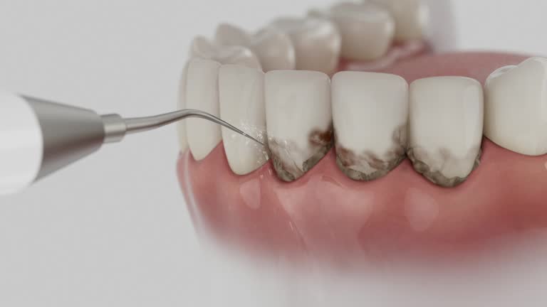 Reliable Dental contractor in Shavano Park, TX by Dentist Open Now